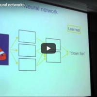 Learning in Deep Neural Networks