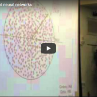 Learning in Recurrent Neural Networks