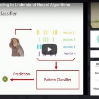 Using decoding to understand neural algorithms