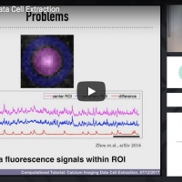 Calcium Imaging Data Cell Extraction