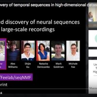 Unsupervised discovery of temporal sequences in high-dimensional datasets