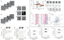 figures describing the research on occluded objects