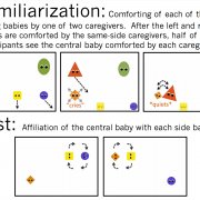 Early Reasoning about Affiliation and Kinship