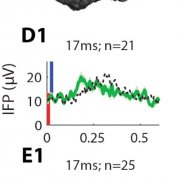 Temporal integration in visual recognition