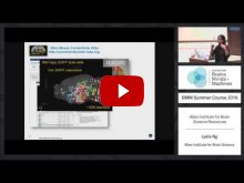 Embedded thumbnail for The Allen Institute for Brain Science Resources: Connectivity Atlas, Cell Types Database, Brain Observatory (1:42:50)