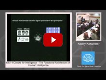 Embedded thumbnail for Nancy Kanwisher: The Functional Architecture of Human Intelligence