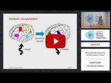 Embedded thumbnail for What information dynamics can tell us about ... brains