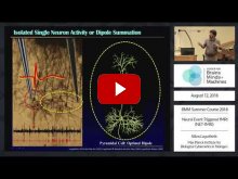 Embedded thumbnail for Neural Event Triggered fMRI (NET-fMRI) (45:01)