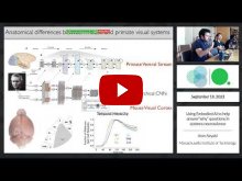 Embedded thumbnail for Using Embodied AI to help answer”why” questions in systems neuroscience