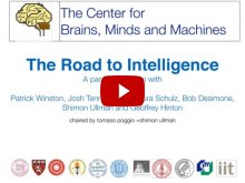 Embedded thumbnail for The Road to Intelligence