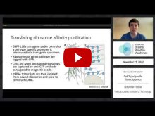 Embedded thumbnail for Cell-Type Specific Transcriptomics