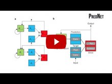 Embedded thumbnail for A neural network trained for prediction mimics diverse features of biological neurons and perception [video]