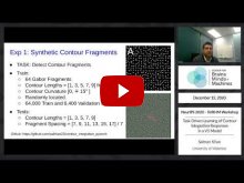 Embedded thumbnail for Task-Driven Learning of Contour Integration Responses in a V1 Model