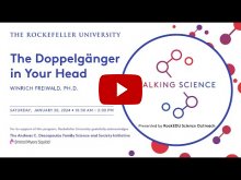 Embedded thumbnail for  2024 Talking Science featuring Winrich Freiwald, Ph.D. 