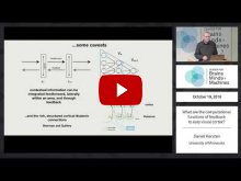 Embedded thumbnail for What are the computational functions of feedback to early visual cortex?