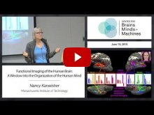 Embedded thumbnail for Functional Imaging of the Human Brain: A Window into the Organization of the Human Mind (1:18:25)