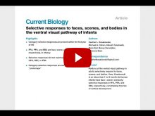 Embedded thumbnail for Selective responses to faces, scenes, and bodies in the ventral visual pathway of infants [video]