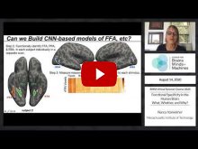 Embedded thumbnail for Functional Specificity in the Human Brain: What, Whether, and Why?