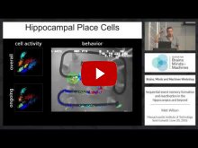 Embedded thumbnail for Sequential event memory formation and reactivation in the hippocampus and beyond