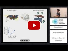 Embedded thumbnail for Perceptual Straightening of Natural Image Sequences