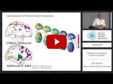 Embedded thumbnail for Development and Diversity of the Human Brain