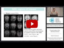 Embedded thumbnail for A Causal Analysis of the Attentional Network