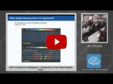 Embedded thumbnail for Jim DiCarlo: Introduction to the Visual System, Part 1
