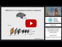 Embedded thumbnail for Explaining brain area scaling and topography in monkey and human IT with deep neural networks