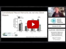 Embedded thumbnail for Visual Search: Differences between your Brain and Deep Neural Networks